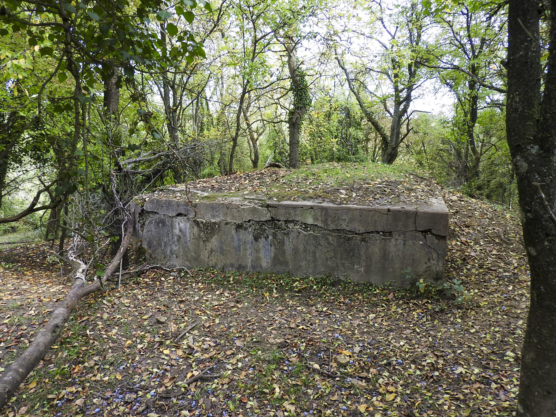 Ligne Maginot - WELSCHBRUCH NORD 1 - (Blockhaus pour arme infanterie) - 