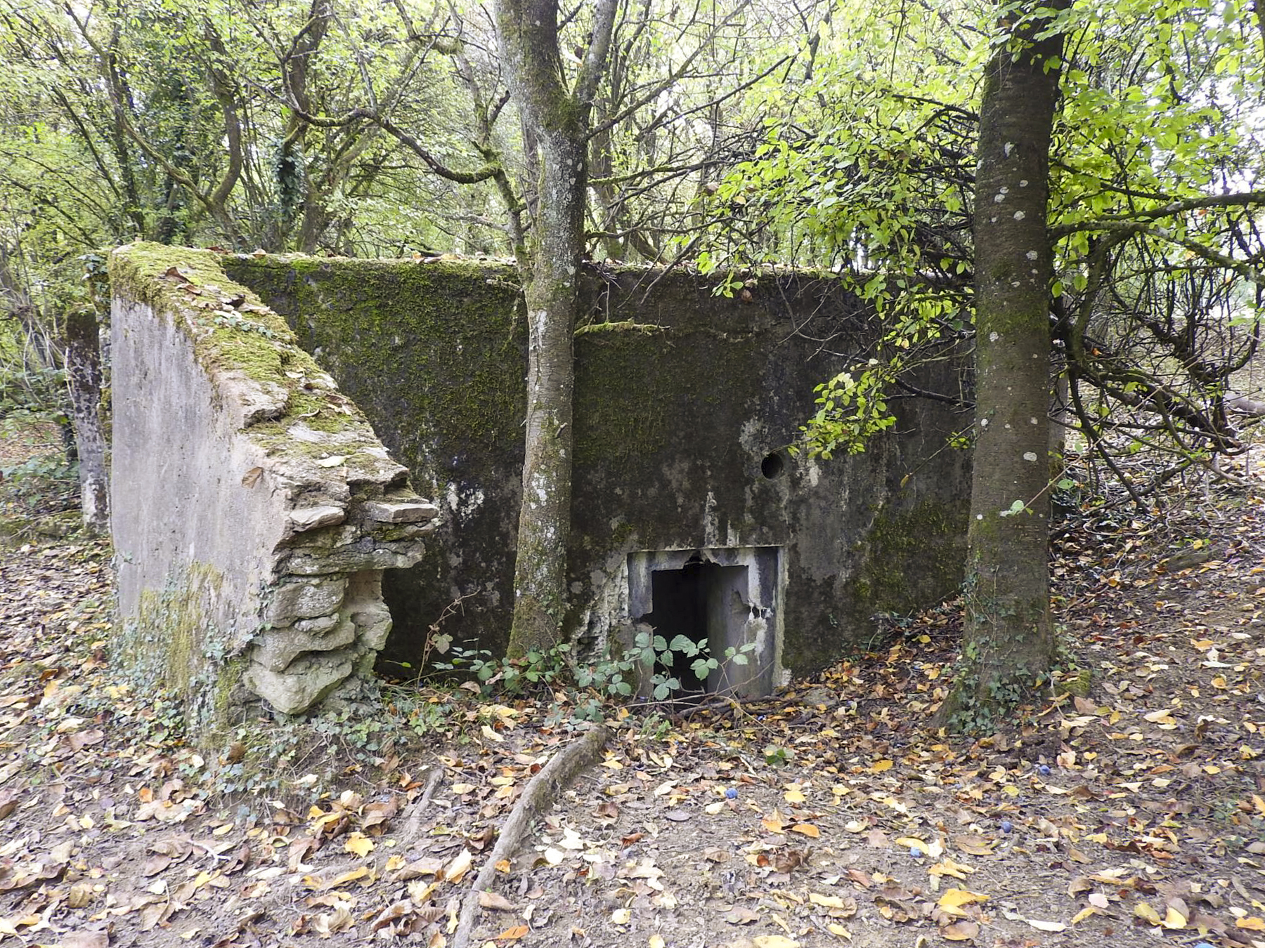 Ligne Maginot - WELSCHBRUCH NORD 1 - (Blockhaus pour arme infanterie) - L'entrée du blockhaus