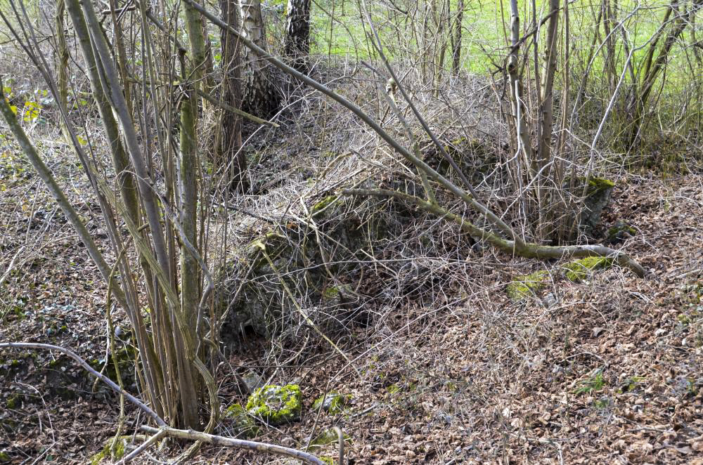 Ligne Maginot - G40 - RUMERSHEIM LE HAUT BERGE 2 - (Blockhaus pour arme infanterie) - Reste de l'abri voisin pour la troupe