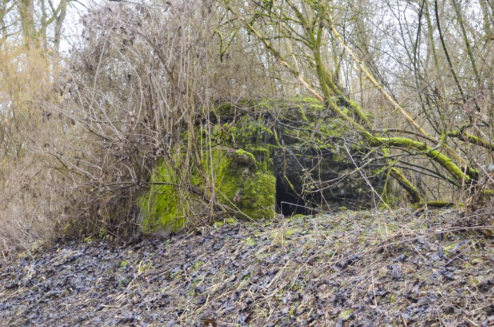 Ligne Maginot - G50 - HOMBOURG BERGE 1 - (Blockhaus pour arme infanterie) - 