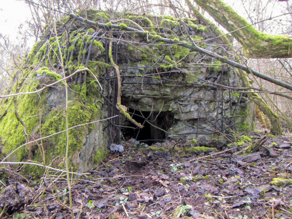 Ligne Maginot - G50 - HOMBOURG BERGE 1 - (Blockhaus pour arme infanterie) - 