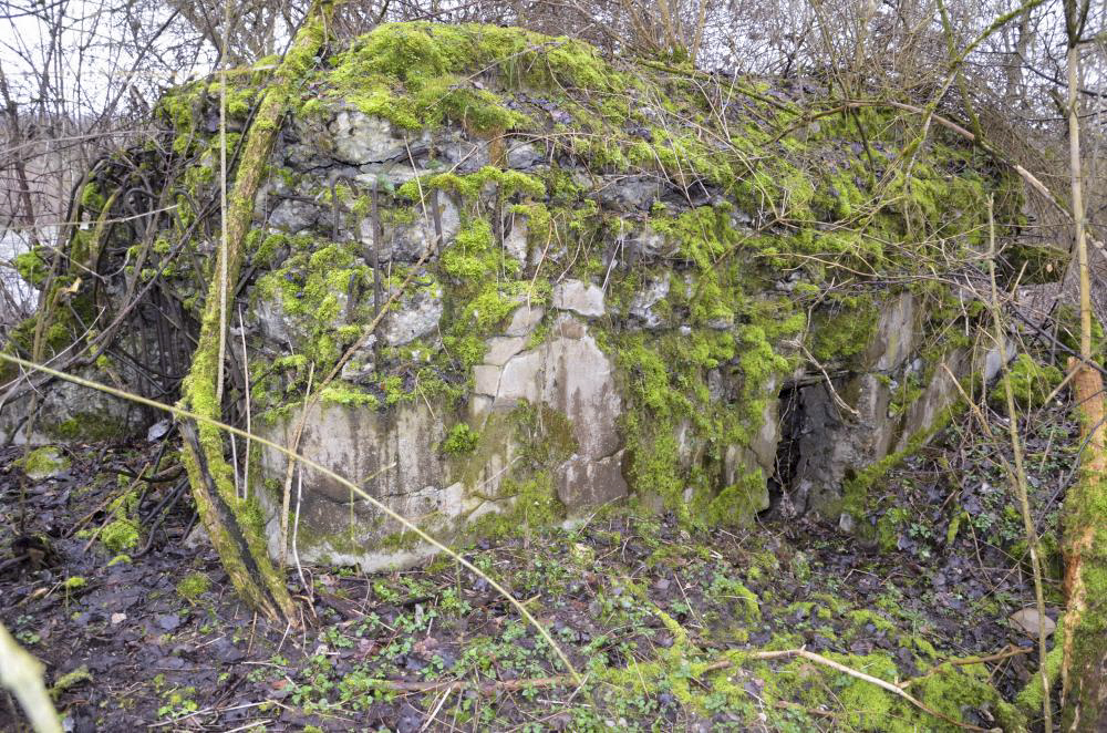 Ligne Maginot - G50 - HOMBOURG BERGE 1 - (Blockhaus pour arme infanterie) - Vue extérieure arrière sur l'entrée