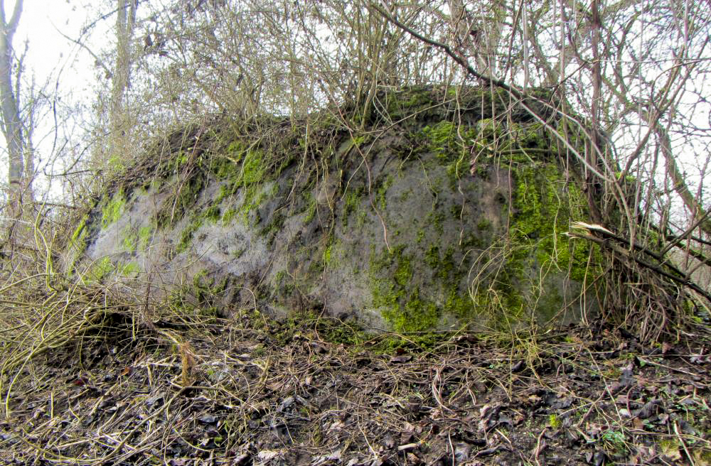 Ligne Maginot - G50 - HOMBOURG BERGE 1 - (Blockhaus pour arme infanterie) - Façade dégagée par mes soins pour la photo. C'était nécessaire vu son état remarquable dans un secteur où la plupart des blockhaus ont été dynamités par les allemands lors de l'hiver 1944-1945.