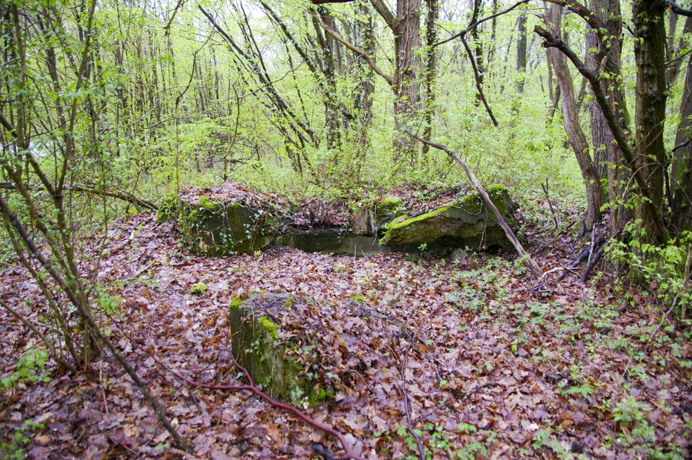 Ligne Maginot - GRUNHUTTE 2 - (Cuve pour arme d'infanterie) - Cuve pour TD, protégeant le carrefour de la route Bantzenheim et du chemin forestier