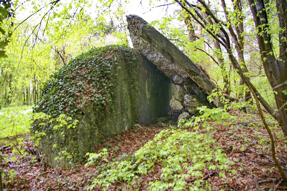 Ligne Maginot - GRUNHUTTE 1 - (Blockhaus pour canon) - Abri d'intervalle, dont il ne reste que le mur nord et une parti du toit