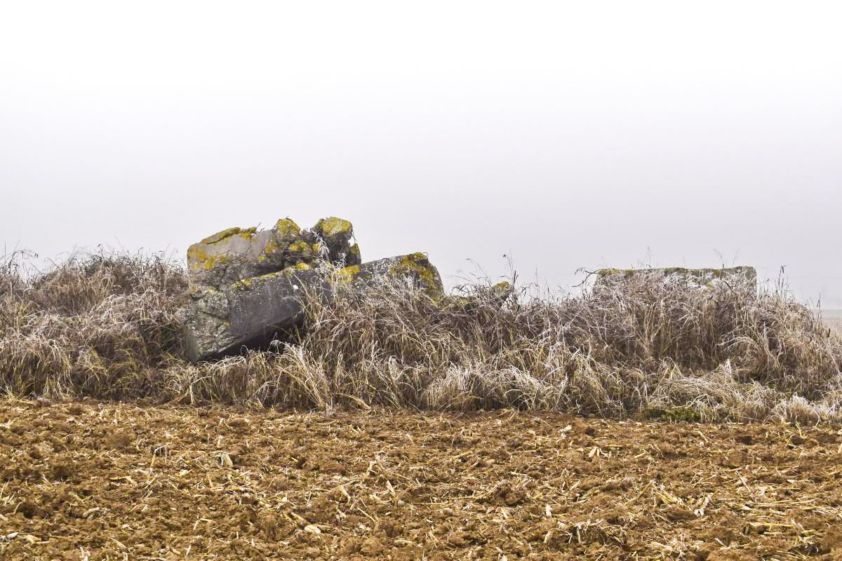 Ligne Maginot - HARTACKER OUEST - (Blockhaus de type indéterminé) -  - D. Froehly