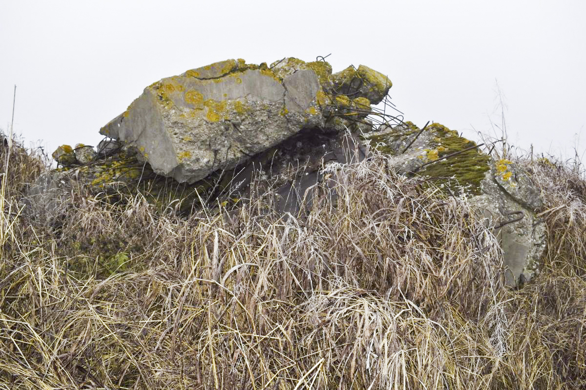 Ligne Maginot - HARTACKER OUEST - (Blockhaus de type indéterminé) -  - D. Froehly