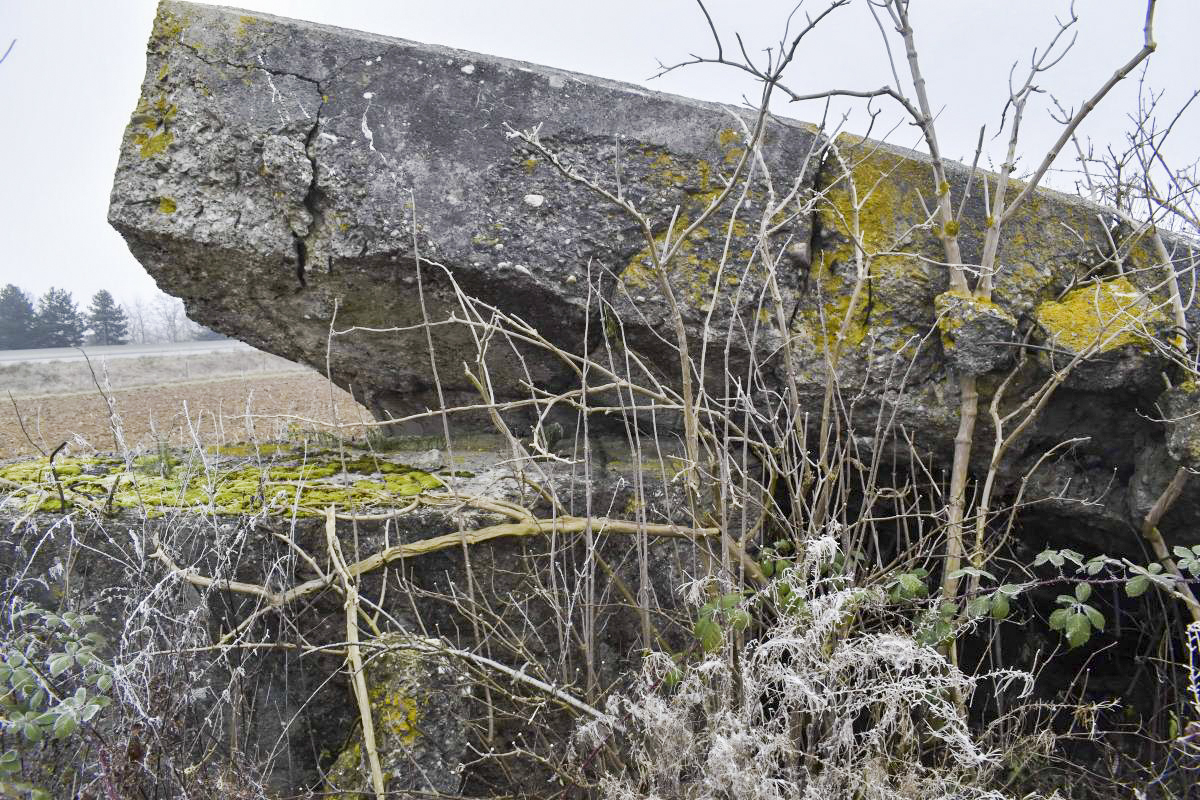 Ligne Maginot - HARTACKER CENTRE - (Blockhaus de type indéterminé) - 