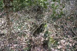 Ligne Maginot - LA BARONNIE 8 - (Blockhaus pour arme infanterie) - Entrée 2