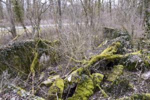 Ligne Maginot - RADBRUNNEN 2 - (Blockhaus pour canon) - Vue d'ensemble