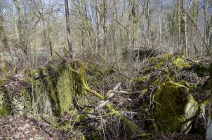 Ligne Maginot - RADBRUNNEN 2 - (Blockhaus pour canon) - Vue de l'ensemble en piteux état. A gauche le mur arrière, devant la dalle de 30 cm, au fond le mur latéral nord.