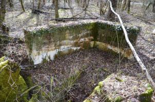 Ligne Maginot - RADBRUNNEN 2 - (Blockhaus pour canon) - Mur latéral sud, avec à gauche le mur droit  effondré et devant au centre l'entrée sud