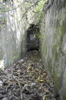 Ligne Maginot - STATION DE BANTZENHEIM 5 - (Cuve pour arme d'infanterie) - Entrée nord