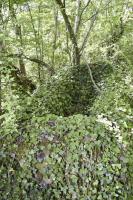 Ligne Maginot - KOETZINGUE 1 - (Blockhaus pour canon) - Abreuvoir a coté du blockhaus