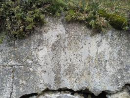 Ligne Maginot - CABANES VIEILLES (ABREUVOIR MILITAIRE) - (Divers) - Un des graffiti sur l'abreuvoir