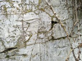 Ligne Maginot - CABANES VIEILLES (ABREUVOIR MILITAIRE) - (Divers) - Graffitis de plus sur l'abreuvoir