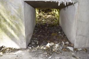 Ligne Maginot - PA DU CARREFOUR 243-1 - (Blockhaus pour canon) - Ouverture donnant sur la niche a munitions depuis l’extérieur.