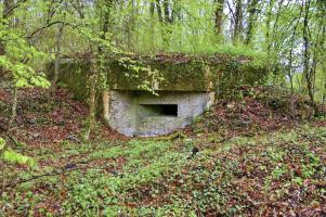Ligne Maginot - PA DU CARREFOUR 248-4 - (Blockhaus pour arme infanterie) - Blockhaus avec deux créneaux de tir protégeant la route forestière vers le nord et vers le sud. L'entrée donne sur l'ouest
