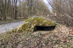 Ligne Maginot - PA DU CARREFOUR 252-1 - (Blockhaus pour arme infanterie) - 