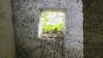 Ligne Maginot - FEIL 3 - (Abri) - 