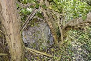 Ligne Maginot - PA PETIT-LANDAU 10 - (Abri) - Bac à eau avec une prise pour pomper l’eau dans la nappe phréatique