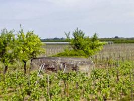 Ligne Maginot - BENNWIHR EST - (Blockhaus pour arme infanterie) - 