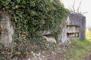 Ligne Maginot - BENNWIHR EST - (Blockhaus pour arme infanterie) - 