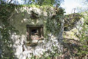 Ligne Maginot - 46/1 - LIMBOURG SUD - (Casemate d'infanterie - Double) - Façade Nord.
Les 2 créneaux