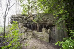 Ligne Maginot - RICHTOLSHEIM 3 - (Blockhaus pour canon) - 