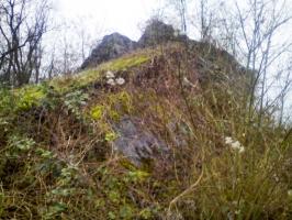 Ligne Maginot - 47/3 - NAMBSHEIM NORD - (Casemate d'infanterie - Double) - 