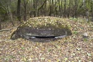 Ligne Maginot - BOIS DE DESSENHEIM CENTRE 3 - (Blockhaus pour arme infanterie) - Coupole