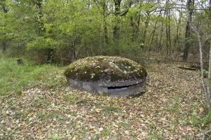 Ligne Maginot - BOIS DE DESSENHEIM CENTRE 2 - (Blockhaus pour arme infanterie) - Coupole et l'entrée au fond à droite