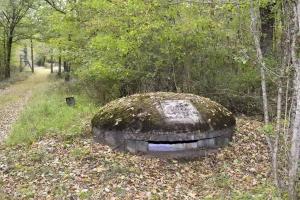 Ligne Maginot - BOIS DE DESSENHEIM CENTRE 2 - (Blockhaus pour arme infanterie) - Coupole avec sa cartouche de régiment disparu