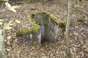 Ligne Maginot - BOIS DE DESSENHEIM CENTRE 2 - (Blockhaus pour arme infanterie) - L'entrée
