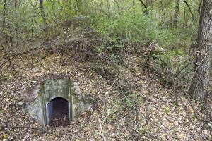 Ligne Maginot - BOIS DE DESSENHEIM CENTRE 1 - (Blockhaus pour arme infanterie) - Entrée et au fond à droite la coupole