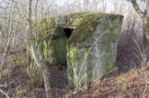 Ligne Maginot - BOIS DE DESSENHEIM SUD 1 - (Divers) - 
