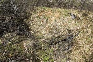Ligne Maginot - BOIS DE DESSENHEIM SUD 11 - (PC) - Abri à 2 entrées.
Inaccessible