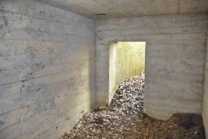 Ligne Maginot - BOIS DE DESSENHEIM SUD 10 - (PC) - Second abri : entrée sud
