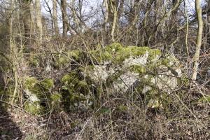 Ligne Maginot - G32 - MUHLWINKEL NORD - (Blockhaus pour arme infanterie) - Restes du blockhaus dynamité