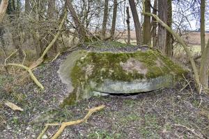 Ligne Maginot - STOECKLE - GOLDGRUBE 2 - (Blockhaus pour arme infanterie) - Coupole avec le cartouche '5 et 7ème Cie du 15-2' et l'emplacement du blason disparu.