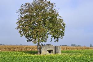 Ligne Maginot - GEISWASSER 1 - (Blockhaus pour canon) - 