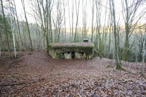 Ligne Maginot - MARKBACH - (Blockhaus pour arme infanterie) - Vue sur l'entrée