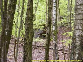 Ligne Maginot - MARKBACH - (Blockhaus pour arme infanterie) - Vue vers la chambre de tir Est
