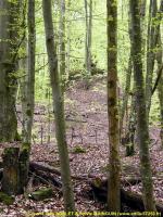 Ligne Maginot - MARKBACH - (Blockhaus pour arme infanterie) - Vue vers la cloche GFM