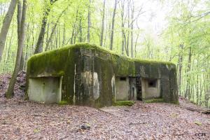 Ligne Maginot - VERRERIE - (Blockhaus pour arme infanterie) - 