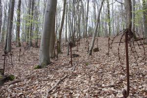 Ligne Maginot - VERRERIE - (Blockhaus pour arme infanterie) - Le réseau anti-personnel autour de la casemate