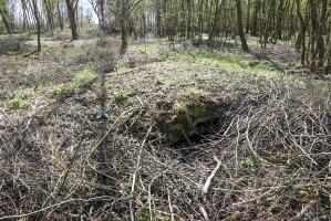 Ligne Maginot - WOLFGANTZEN NORD OUEST 5 - (Abri) - Face ouest entrée