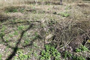 Ligne Maginot - WOLFGANTZEN NORD OUEST 5 - (Abri) - Face est