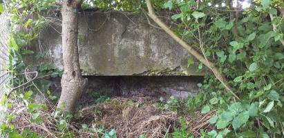 Ligne Maginot - 39 - BASSIN AUBERGER - (Blockhaus pour arme infanterie) - Créneau (muré)