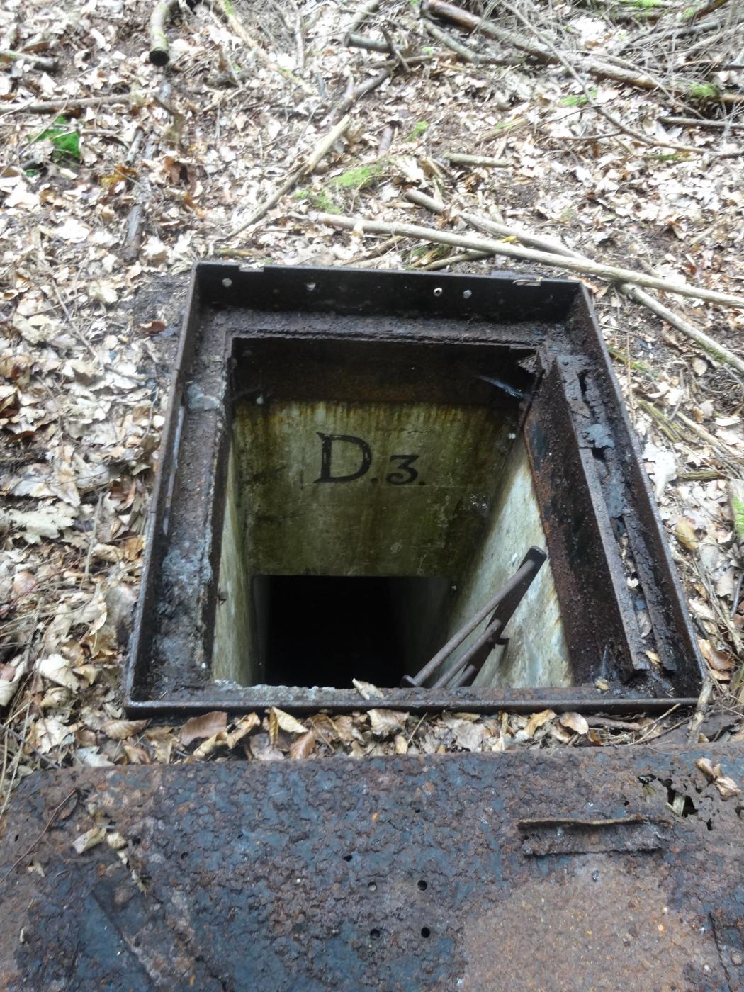 Ligne Maginot - D3 - (Chambre de coupure) - L'accès à la chambre avec son échelle - LINDAUER Pierre